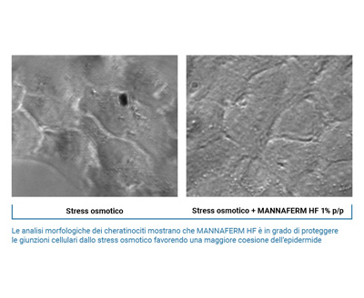 grafico 1